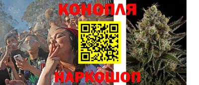 соль курить ск Кингисепп
