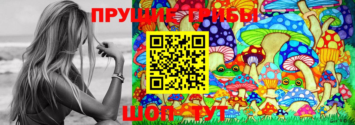 Псилоцибиновые грибы Magic Shrooms  Галлюциногенные грибы Psilocybe  купить  сайты  Истра  Вход с VPN 
